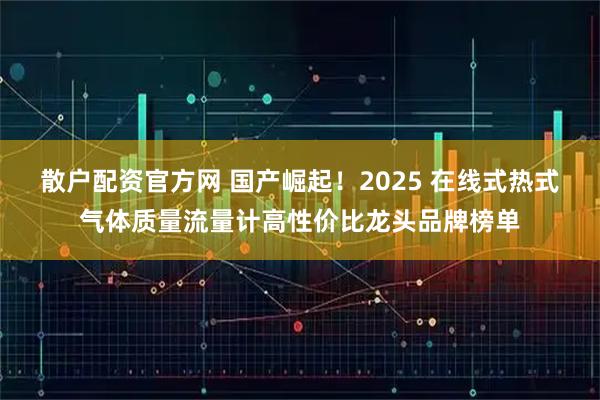 散户配资官方网 国产崛起！2025 在线式热式气体质量流量计高性价比龙头品牌榜单